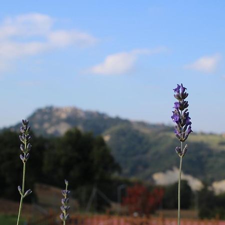 Casale Fontanile Bed And Breakfast Smerillo Exteriér fotografie
