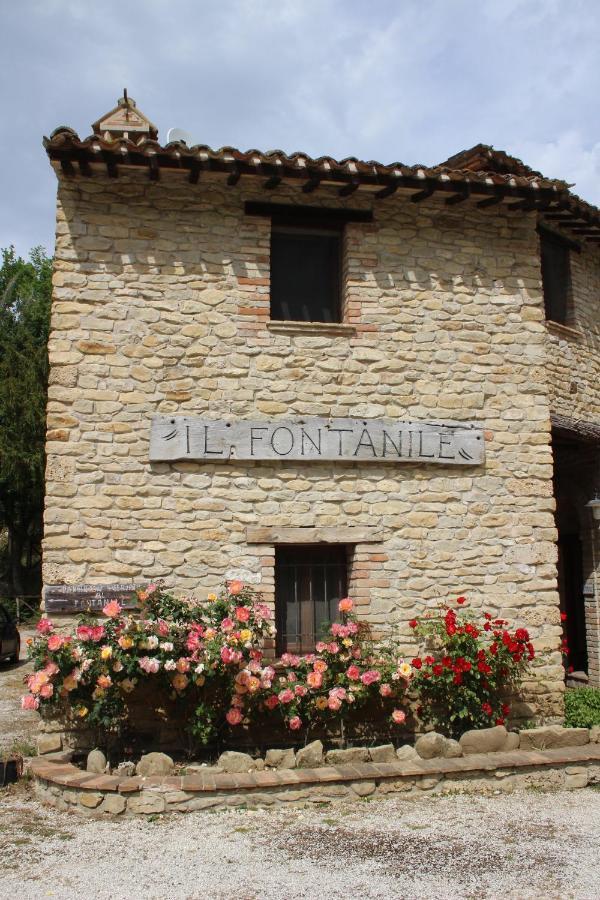 Casale Fontanile Bed And Breakfast Smerillo Exteriér fotografie