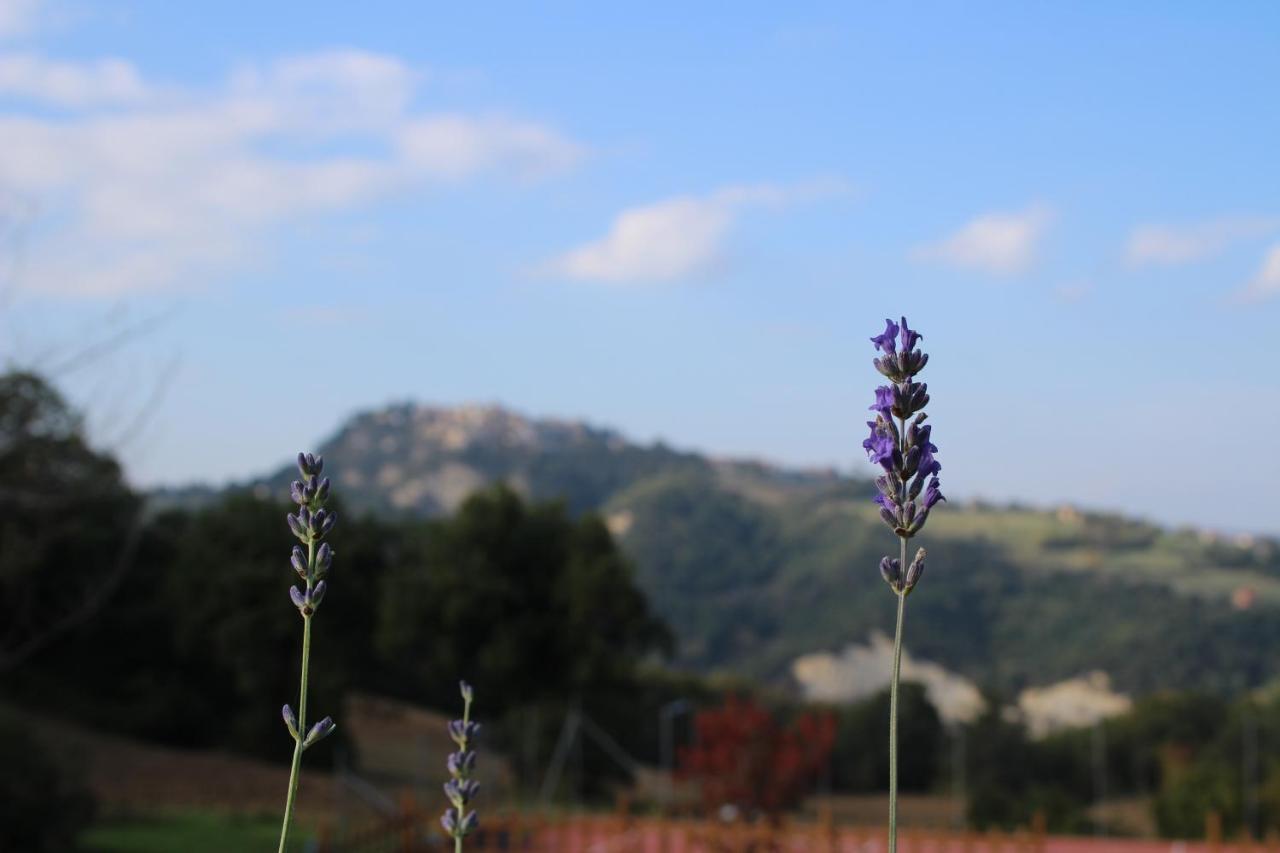 Casale Fontanile Bed And Breakfast Smerillo Exteriér fotografie